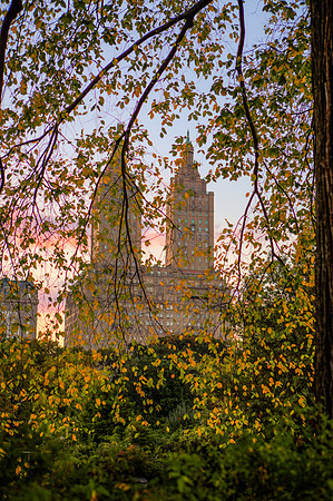 View from Central Park - New York City, NY