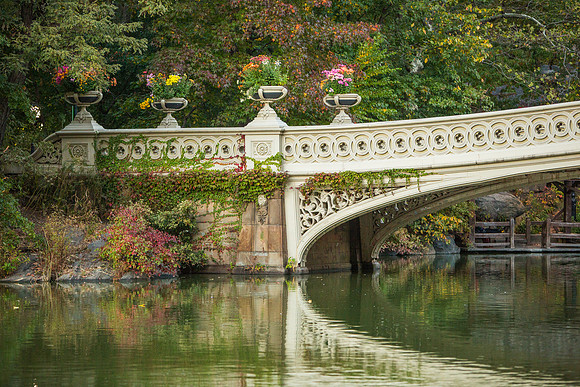 View from Central Park - New York City, NY