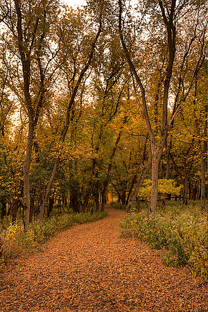 Walking path - Stone Park near Sioux City, Iowa
